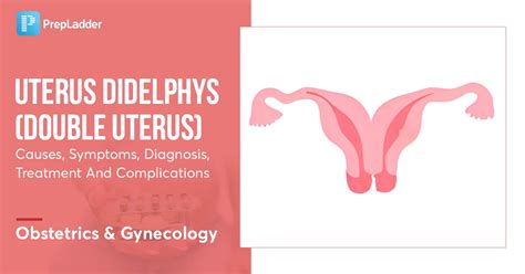 doible vaginal|Uterine Didelphys: Causes, Symptoms, and Treatment .